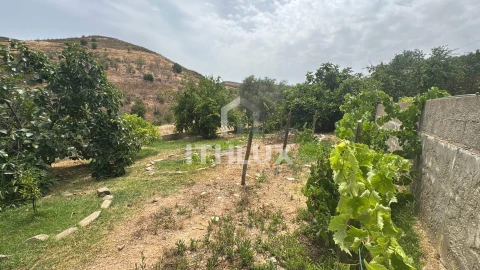 Moradia T3 para Venda em Tavira (Santa Maria e Santiago)