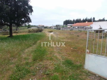 Terreno para Venda em Tornada e Salir do Porto