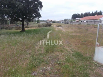 Terreno para Venda em Tornada e Salir do Porto