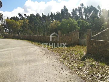 Terreno para Venda em Tornada e Salir do Porto