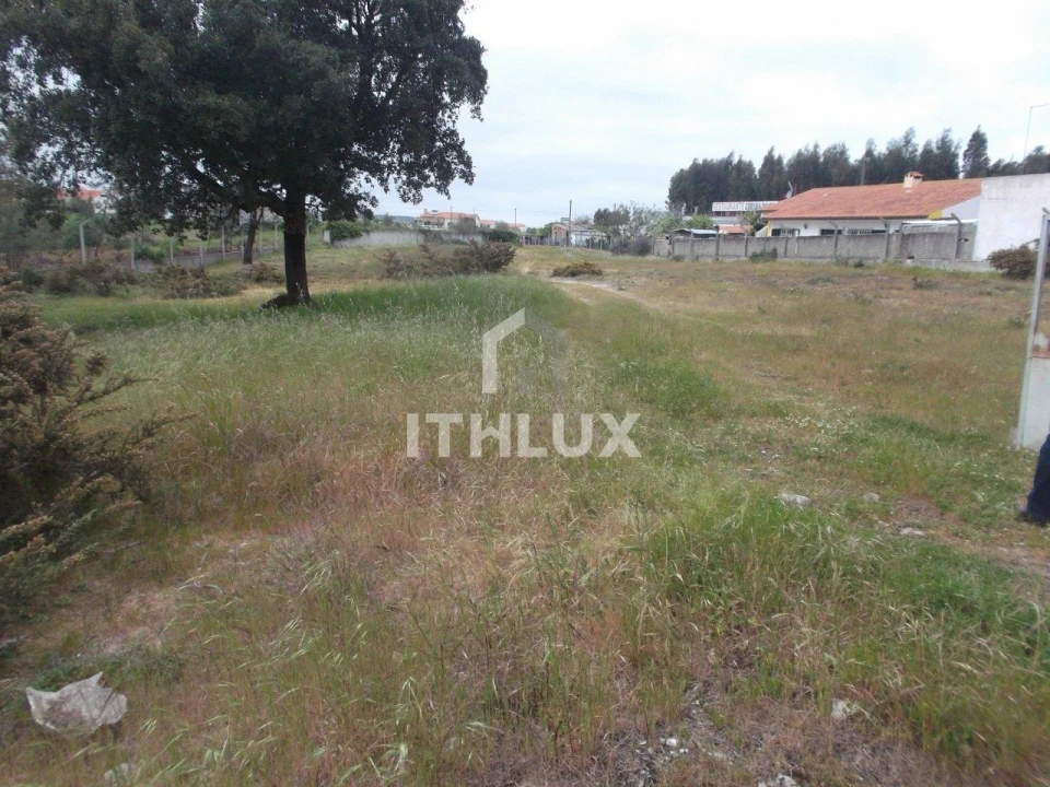 Terreno para Venda em Tornada e Salir do Porto Foto 6