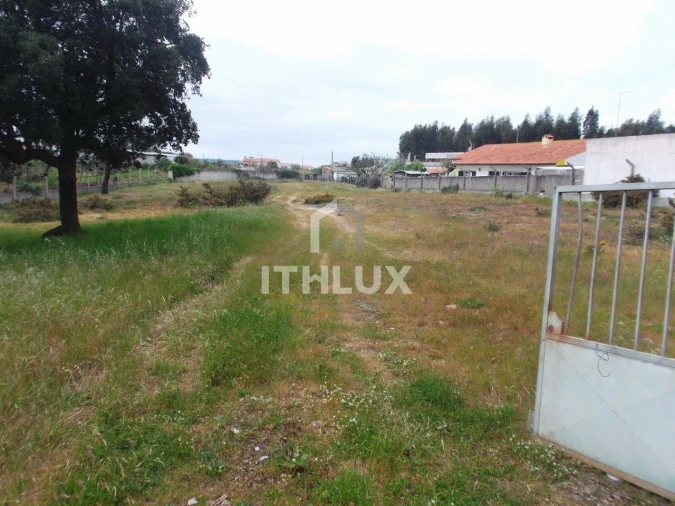 Terreno para Venda em Tornada e Salir do Porto Foto 3