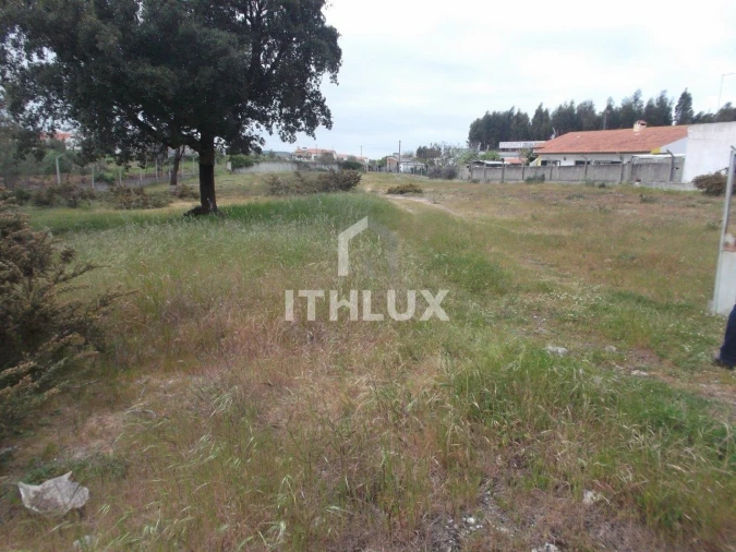 Terreno para Venda em Tornada e Salir do Porto Foto 6