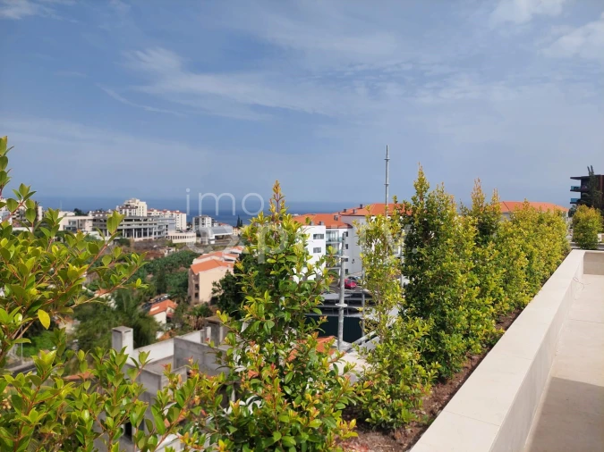 Apartamento T2 para Venda em São Martinho Foto 6