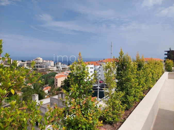 Apartamento T3 para Venda em São Martinho Foto 29