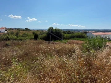 Terreno para Venda em Gaeiras