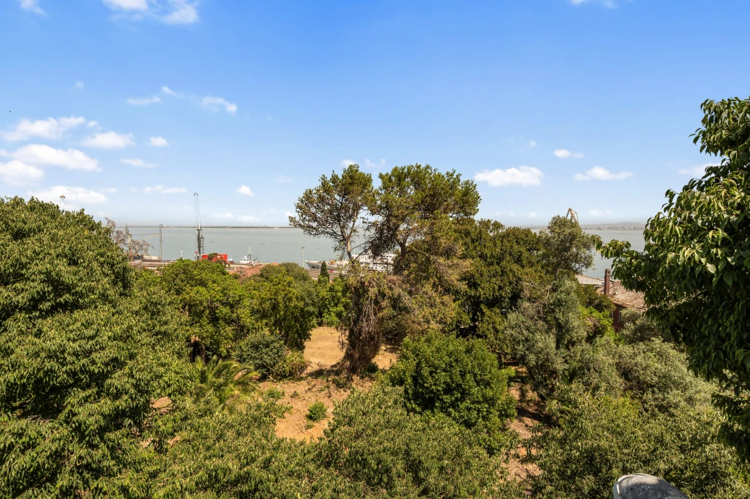 Apartamento T4 para Venda em São Vicente Foto 2