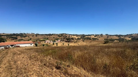 Quinta T3 para Venda em Ourique