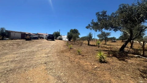 Quinta T3 para Venda em Ourique