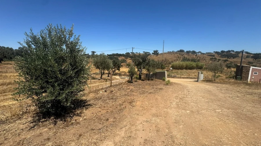 Quinta T3 para Venda em Ourique Foto 17