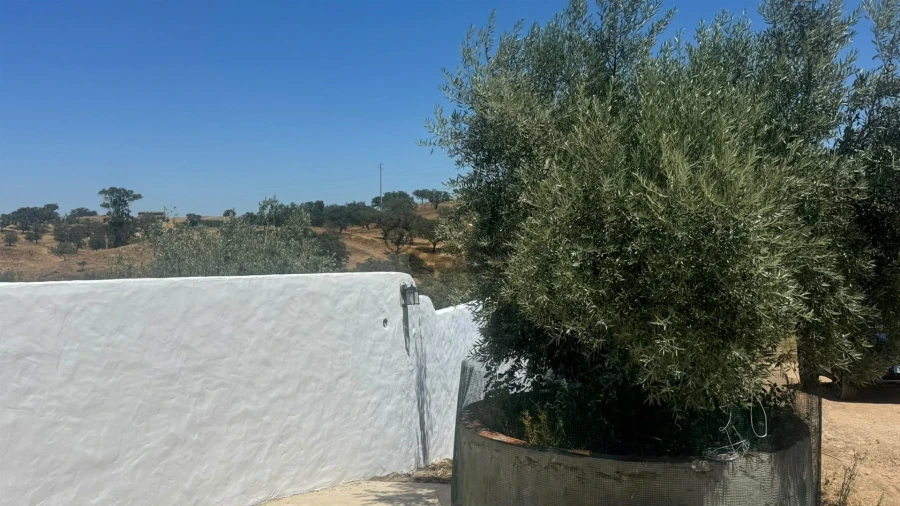 Quinta T3 para Venda em Ourique Foto 2