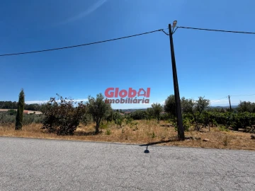 Terreno para Venda em Silvã de Cima