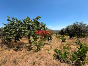 Terreno para Venda em Silvã de Cima
