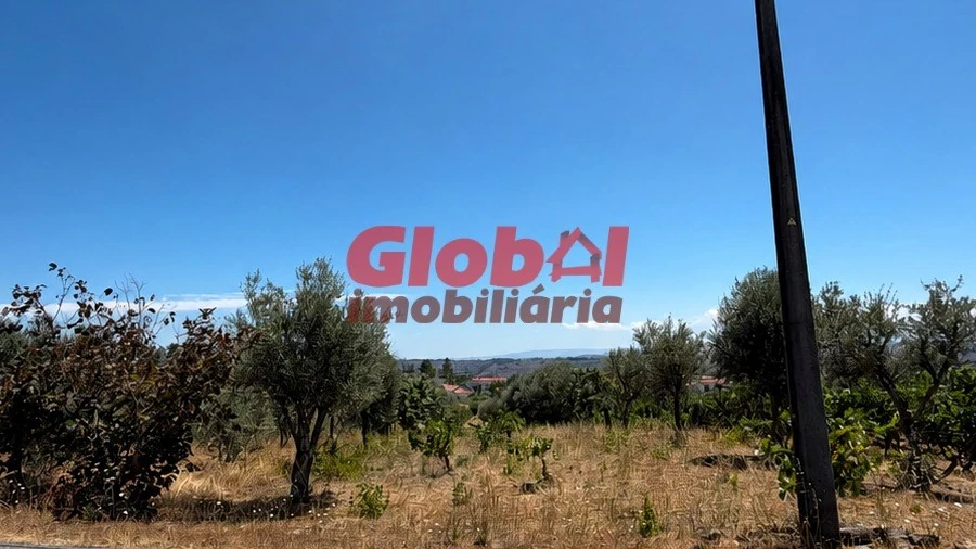 Terreno para Venda em Silvã de Cima