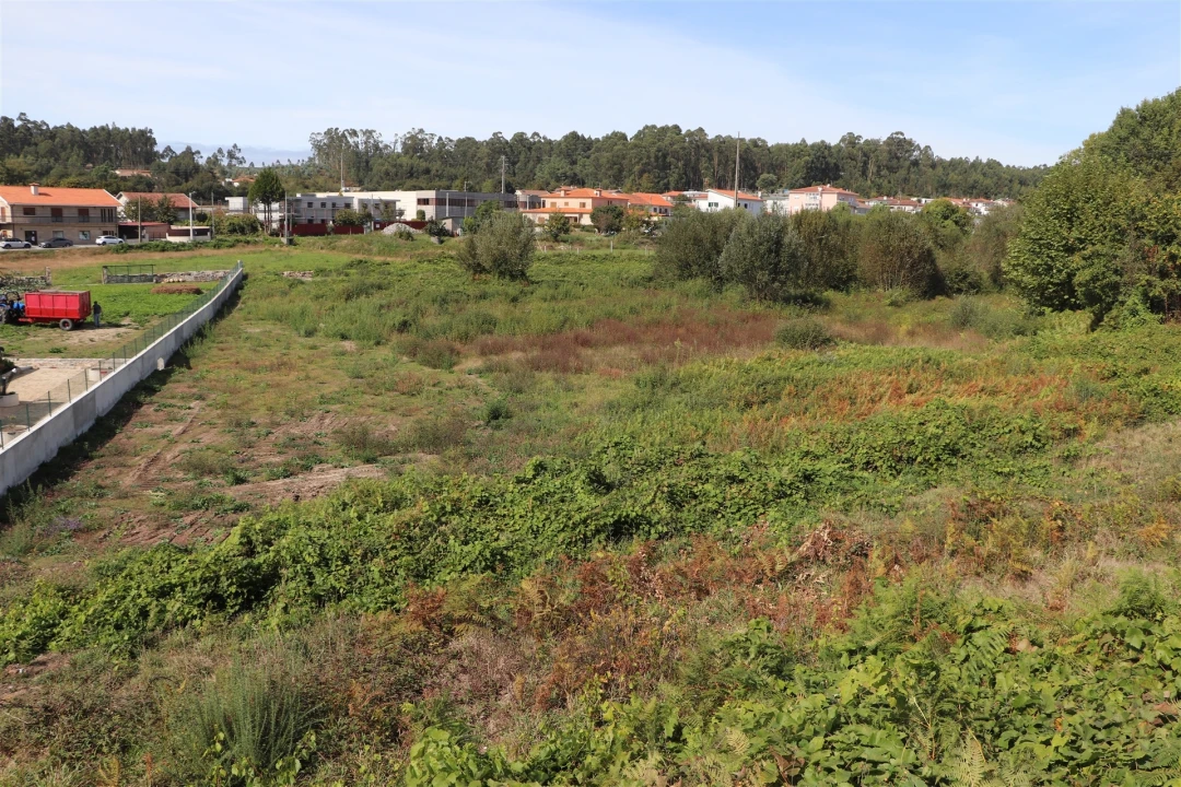 Terreno para Venda em Lustosa e Barrosas (Santo Estêvão) Foto 5