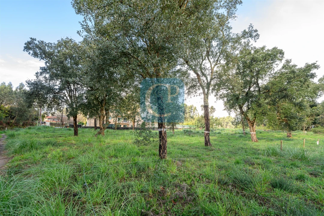 Terreno para Venda em Gulpilhares e Valadares Foto 9