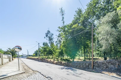 Terreno Misto para Venda em Lijo