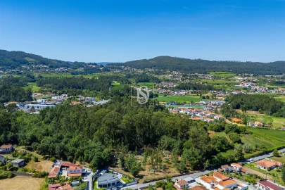 Terreno Misto para Venda em Lijo