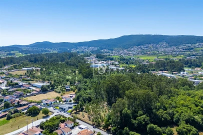 Terreno Misto para Venda em Lijo