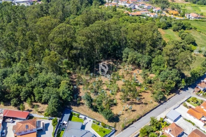 Terreno Misto para Venda em Lijo
