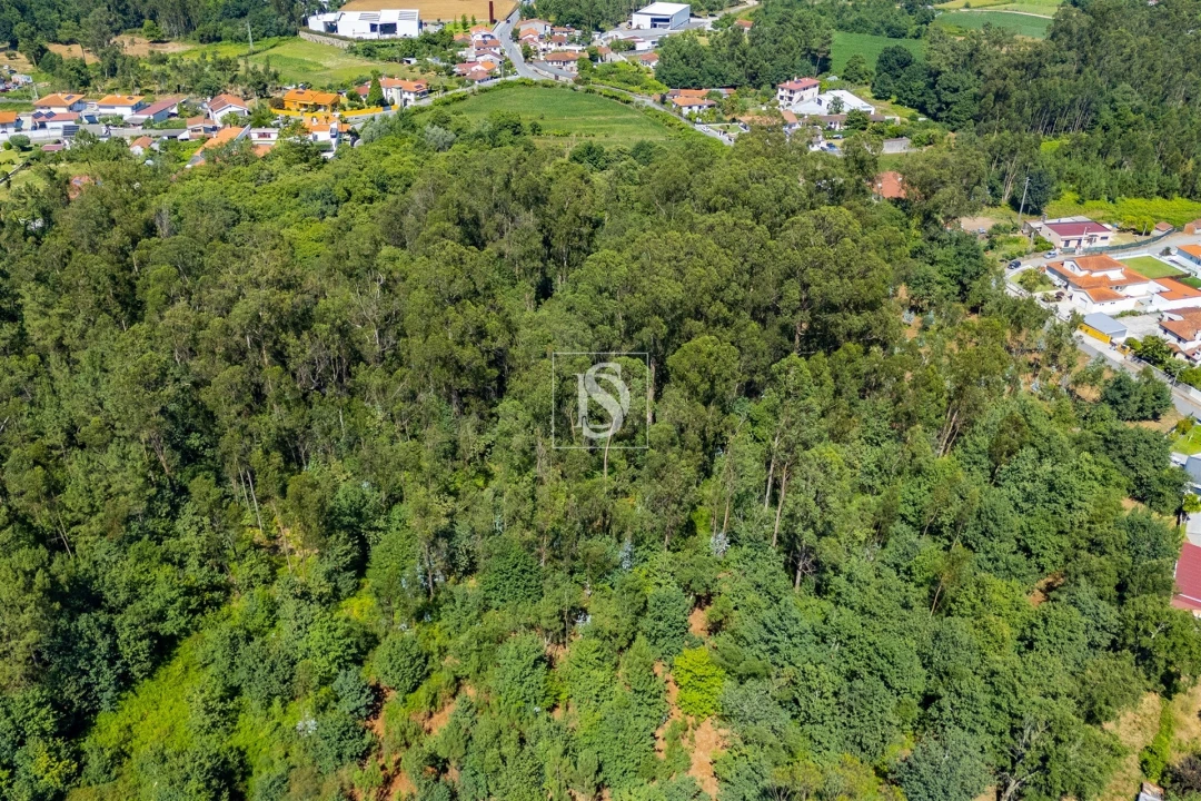 Terreno Misto para Venda em Lijo Foto 24