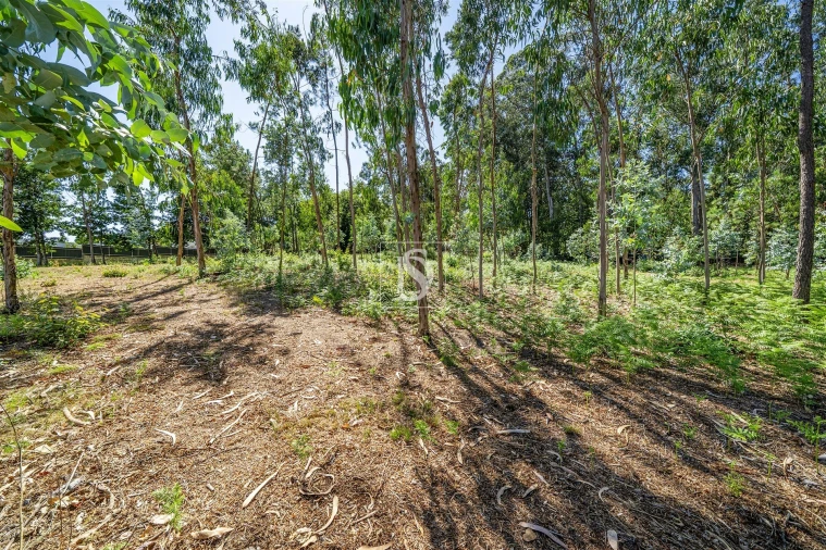 Terreno Misto para Venda em Lijo Foto 10