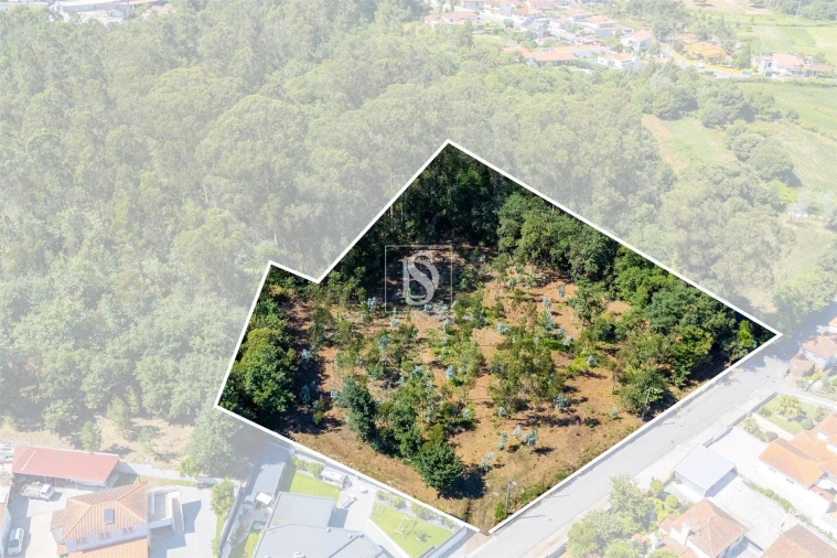 Terreno Misto para Venda em Lijo Foto 25