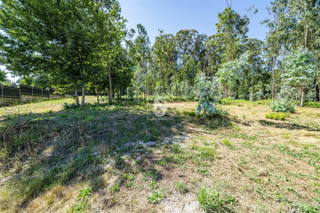 Terreno Misto para Venda em Lijo Foto 8
