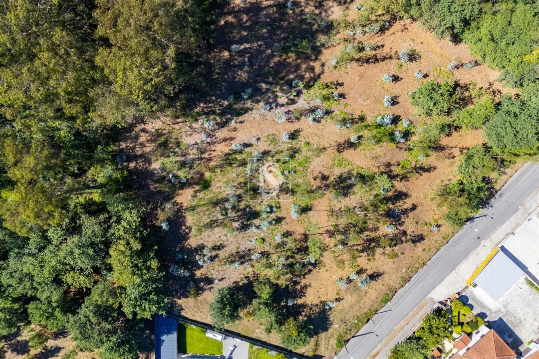 Terreno Misto para Venda em Lijo Foto 6