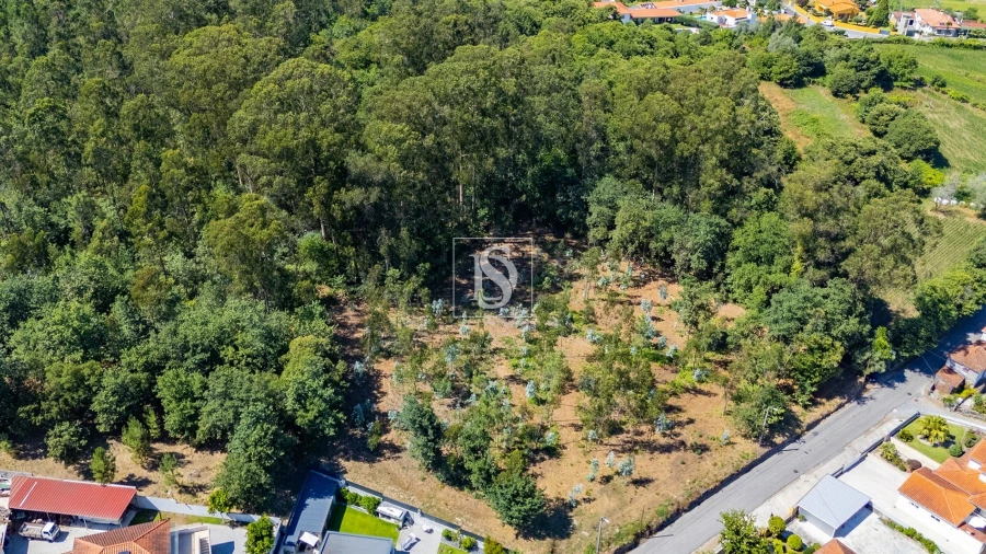 Terreno para Venda em Lijo