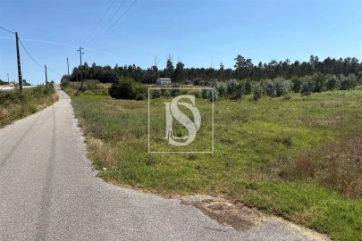 Terreno Agricola ou Rústico para Venda em Tondela e Nandufe