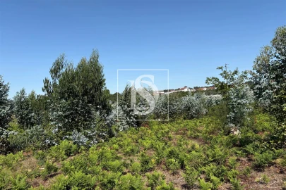 Terreno Agricola ou Rústico para Venda em Tondela e Nandufe