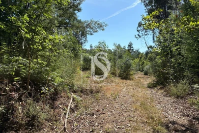 Terreno Agricola ou Rústico para Venda em Tondela e Nandufe