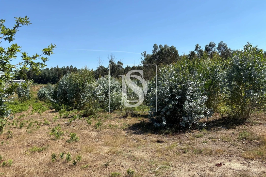 Terreno Agricola ou Rústico para Venda em Tondela e Nandufe Foto 9