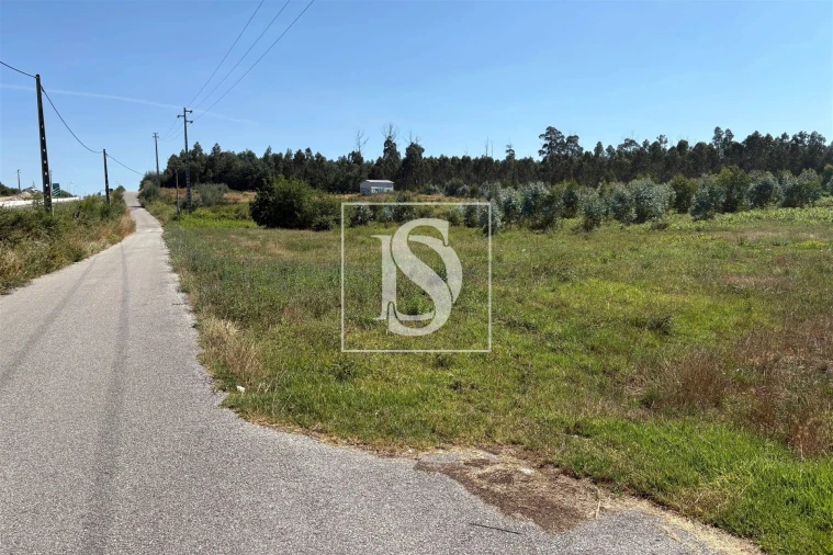 Terreno Agricola ou Rústico para Venda em Tondela e Nandufe Foto 4