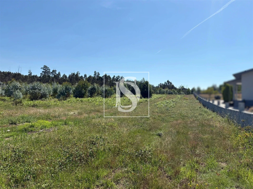 Terreno Agricola ou Rústico para Venda em Tondela e Nandufe Foto 3