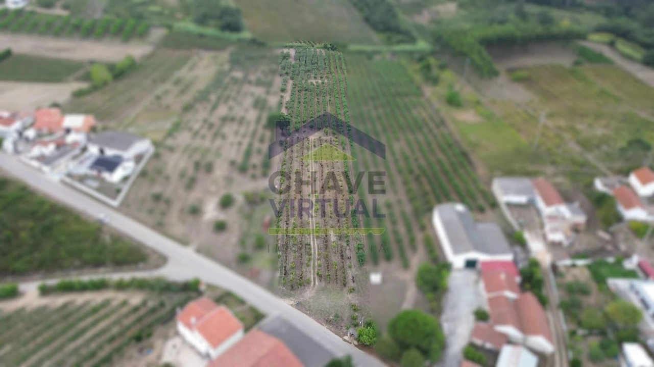 Terreno para Venda em Carvalhal Foto 1