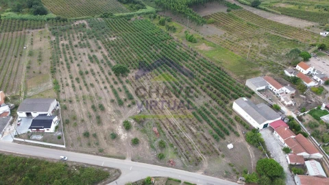 Terreno para Venda em Carvalhal
