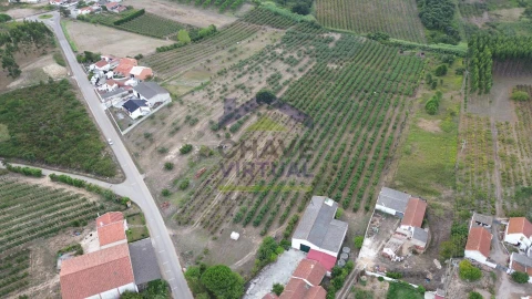 Terreno para Venda em Carvalhal