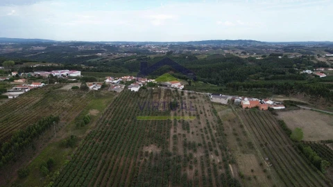 Terreno para Venda em Carvalhal