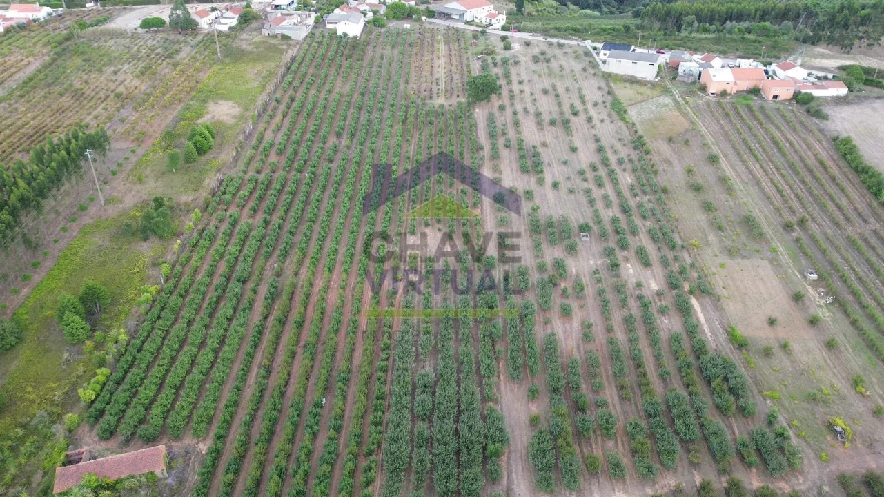 Terreno para Venda em Carvalhal Foto 7
