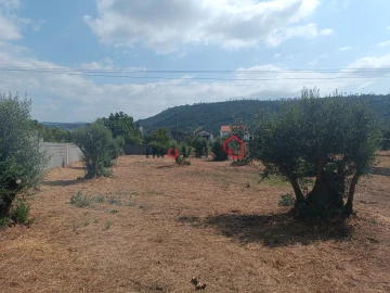 Terreno para Venda em Caranguejeira
