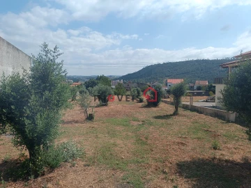 Terreno para Venda em Caranguejeira