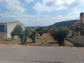 Terreno para Venda em Caranguejeira