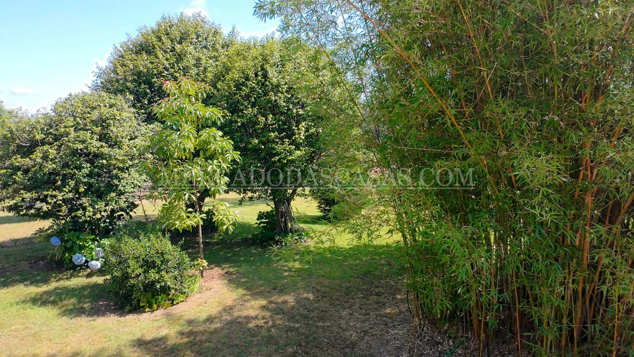 Quinta T5 para Venda em O. Azeméis, Riba-Ul, Ul, Macinhata Seixa, Madail Foto 14
