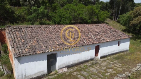 Quinta T2 para Venda em São Martinho das Amoreiras