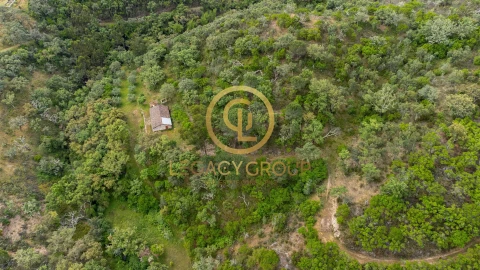 Quinta T2 para Venda em São Martinho das Amoreiras
