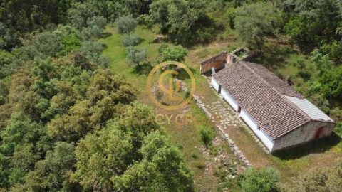Quinta T2 para Venda em São Martinho das Amoreiras