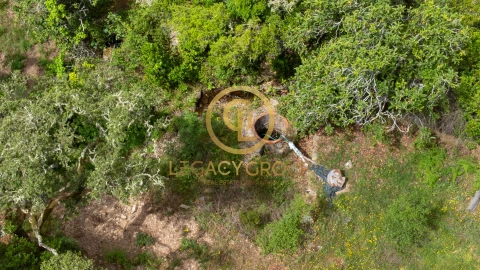 Quinta T2 para Venda em São Martinho das Amoreiras