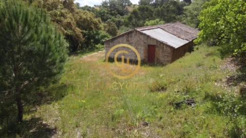 Quinta T2 para Venda em São Martinho das Amoreiras